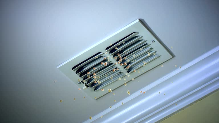 Best Ductwork Cleaning Services  in Ellenville, NY